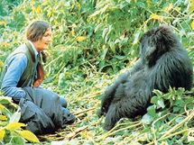 Dian Fossey v terénu