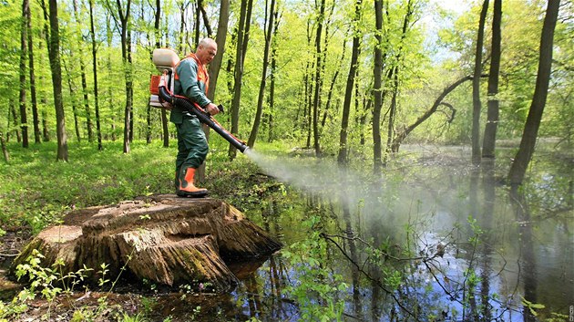 Zahájení postiku luních les proti komárm (28. dubna 2010)