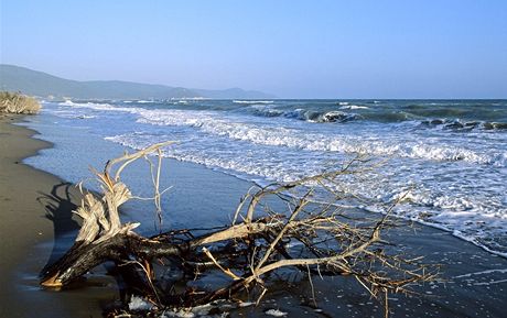 Jedny z posledních panenských pláží Itálie. Toskánská Maremma - iDNES.cz