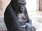 Kijivu s erstvým miminkem jako spokojená matka (duben 2010)