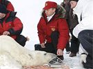 Ruský premiér Vladimír Putin pomohl vdcm nasadit lednímu medvdovi sledovací...