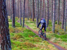 Singletrack ve Skotsku