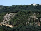 ecko, Korfu. Olivový háj s terasami u Makrades