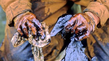 1989 - záchrana zvíat po havárii tankeru Exxon Valdez u pobeí Aljaky.