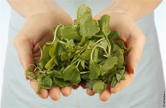 V přírodní formě je kyselina listová získávána například ze zeleniny (ilustrační fotografie)