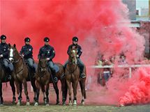 Ukázky výcviku koní ve venkovní jízdárně na Veterině, na snímku jízdní oddíl městské policie.