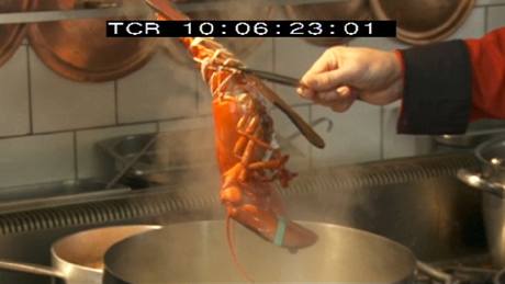 Po deseti minutách humra vytáhn�te z vývaru.