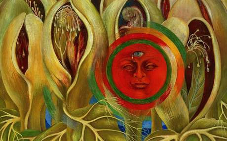 Frida Kahlo: Slunce a ivot, 1947 
