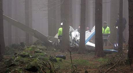 Do umavského lesa se zítila cessna.