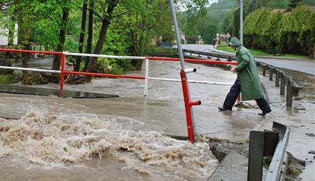 eka Jinka v ivoticch u Novho Jina. (17. kvtna 2010)