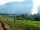 Pole s cukrovou ttinou na dohled sopky Mt. Kanlaon na filipínském ostrov Negros, kde hospodaí Fair Trade drustvo 