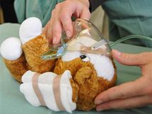 Studenti Střední zdravotní školy předvádí malým dětem na jejich plyšových hračkách, jak ošetřit drobná zranění.