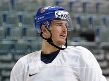 Roman ervenka