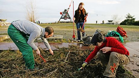 Guerilla gardening - "partyzántí zahradníci" sbírají odpadky a vysazují kvtiny na veejných místech