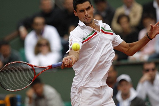 Rumunský tenista Hanescu má problém. Ve Wimbledonu ml konflikt s fanouky.