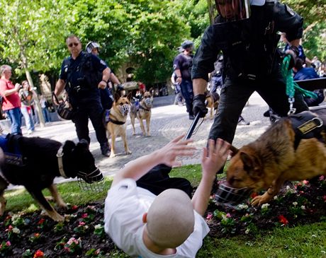 Policie se snaila pacifikovat piznivce neonacist.