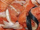 Kousky syrového lososa psovi dodají spoustu cenných látek.