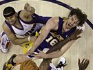 Amar´e Stoudemire z Phoenixu Suns marn brání v zakonení Pau Gasolovi z LA Lakers. Zcela nahoe Jared Dudley
