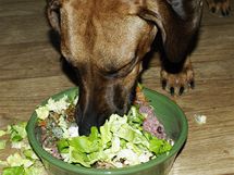 Pes stravovaný podle krmné metody BARF dostává syrové kosti a maso, zeleninu, ovoce a vitaminové doplňky. 