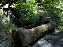 Čistá šumavská voda v dřevěném korytě, tady se můžete bez obav napít