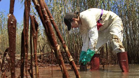 lenka organizace Greenpeace Lindsey Allenová sbírá vzorky vody zneitné ropou v delt eky Mississippi (19. kvtna)