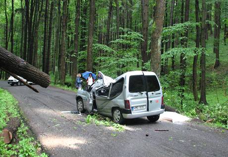 Mezi Drozdovem na umpersku a Zbehem spadl dub na auto. idi byl vn zrann, spolujezdkyn nehodu nepeila. (31. kvtna 2010)