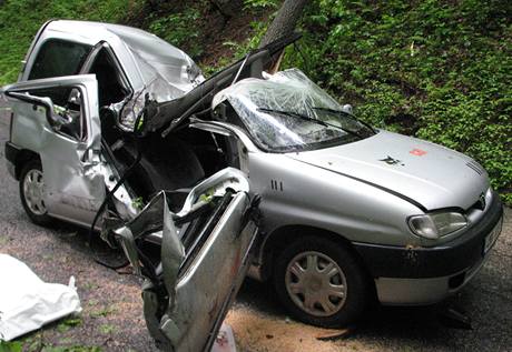 Mezi Drozdovem na umpersku a Zbehem spadl dub na auto. idi byl vn zrann, spolujezdkyn nehodu nepeila. (31. kvtna 2010)