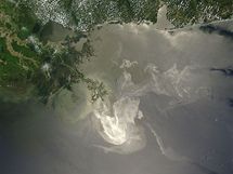Satelitn snmek ropou zasaen oblasti v Mexickm zlivu (24. kvtna 2010)