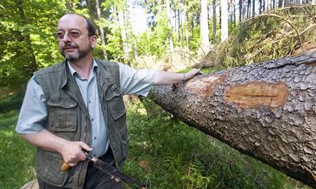 Lesní správce Petr emlika ukazuje v sousedství ofínského pralesa, jak zde likvidují krovce