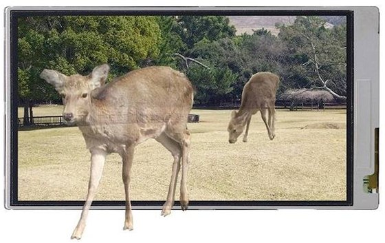 Sharp 3D LCD