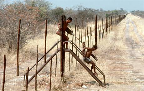 Plot na hranici mezi Botswanou a Zimbabwe.