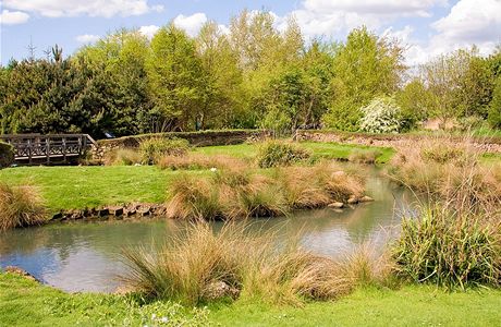 London Wetland Centre. Mal vodn hladiny jsou rjem nejen pro vodn ptactvo, ale tak pro obojivelnky. Jako nenpadn ohrady tu psob nzk kamenn zdky.