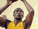 Ron Artest (ve lutém) z LA Lakers zakonuje proti Phoenixu Suns