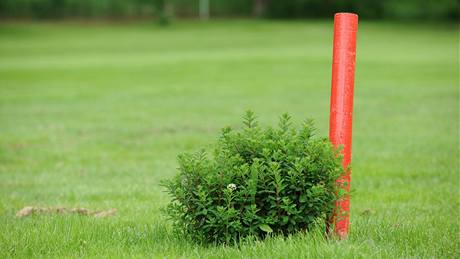 Seriál o golfových pravidlech - vodní pekáka.