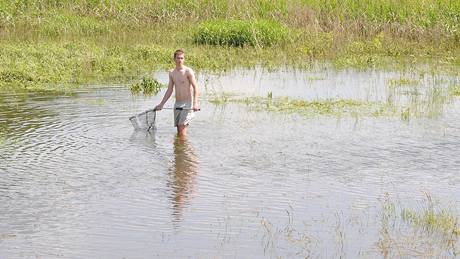 V zatopených lagunách nedaleko Uheric mladíci loví uvízlé ryby.