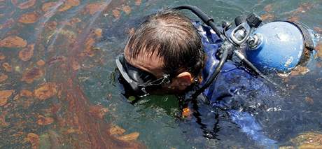 Uniklou ropu pímo z hladiny a z pod ní fotografoval i Rich Matthews z agentury AP. Krom toho se Mexický záliv stal i cennou laboratoí pro vdce.