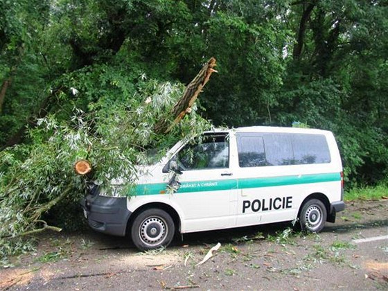 V Lanhot na Beclavsku spadl na policejní vz strom. Policistka skonila v nemocnici.