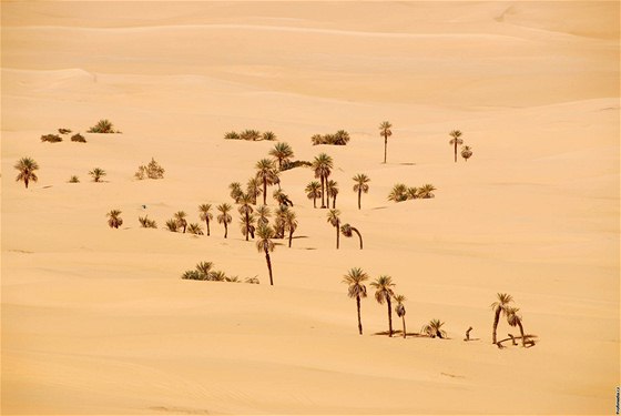 Desertifikace Sahary stále pokrauje