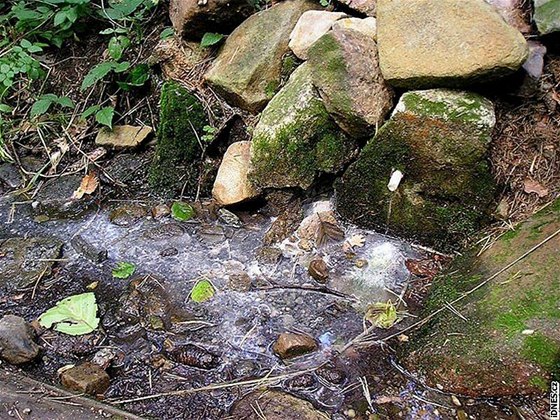 Podobné studánky a prameny istí a oivují prostjovtí ochránci pírody. Ilustraní foto