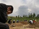Kopání hrobú pro obti nepokoj  v Kyrgyzstánu (16. ervna 2010)