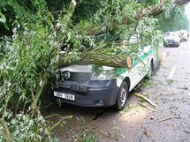 V lanhot na Beclavsku spadl na policejn vz strom. Policistka skonila v nemocnici