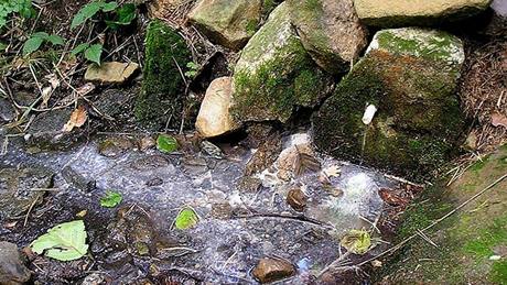Bílá studánka u Hostaovic