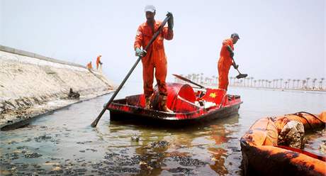 Pracovníci istí pobeí egyptské Hurghady od ropy. (20. ervna 2010)