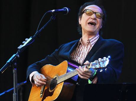 Glastonbury 2010: Ray Davies