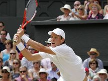 Tom Berdych ve finle Wimbledonu