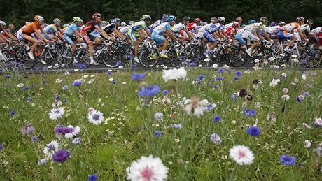 LUNÍ KVÍTÍ. Peloton Tour de France svitl do cílového Gueugnonu.