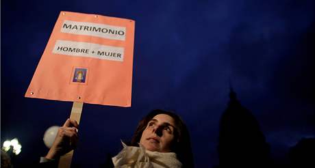 Lid v argentinskch ulicch masov protestovali proti satkm homosexulnch pr (13. ervence 2010)