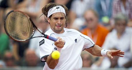 David Ferrer