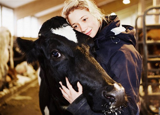 Nejdražší steak na světě se dělá z krávy, která chodí na masáže - iDNES.cz