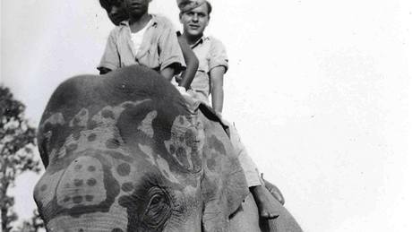 Americký voják na slonovi v Barm za druhé svtové války